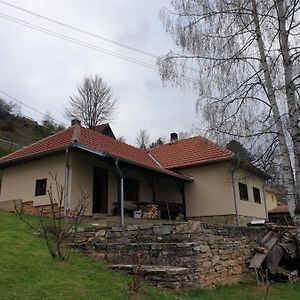 Вилла Kuca Za Odmor - Martic, Rudno, Golija Кралево Exterior photo