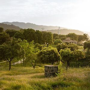 Гостевой дом Los Chozos Del Geoparque Карраскалехо Exterior photo