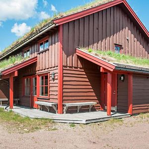 Cozy Home In Trysil With Ethernet Internet Maelem Exterior photo