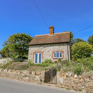 Ladylands Cottage Ньюпорт Exterior photo