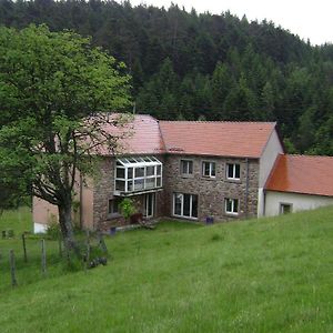 Gite Gretel De La Ferme Du Schneeberg Wangenbourg-Engenthal Exterior photo