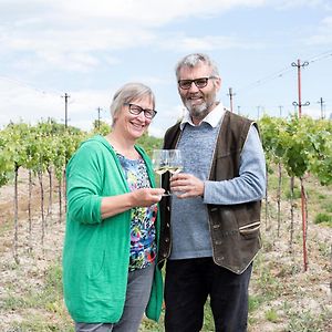 Отель Weingut Zur Schlafmuetze Herrnbaumgarten Exterior photo