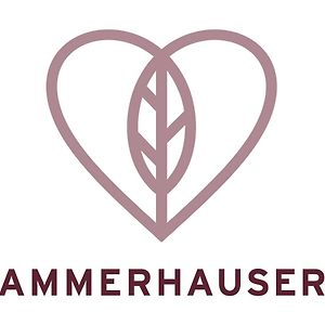 Hotel-Restaurant Ammerhauser Anthering Exterior photo