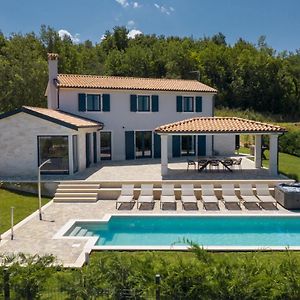 Luxury Villa Edoardo With Pool In Visinada Vizinada Exterior photo