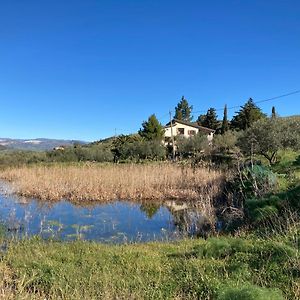 Вилла La Casa Delle Olive Gagliano Castelferrato Exterior photo