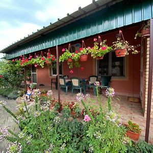 Bed and Breakfast Sud ,,Antal I Olga,, Skorenovac Exterior photo