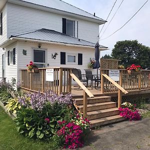Гостевой дом The Coastal Country House In New Brunswick Cape Tormentine Exterior photo