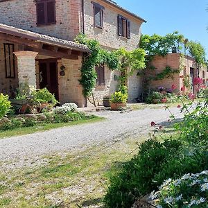 Вилла Casale San Martino Agriturismo Bio Sant'Angelo in Pontano Exterior photo