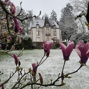 Bed and Breakfast Chateau Maleplane Сен-Леонар-де-Нобла Exterior photo