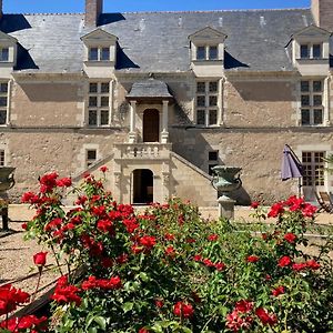 Bed and Breakfast Chateau De Chappe Les Bois-d'Anjou Exterior photo