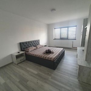 Апартаменты Apartament Nicole Куртя-де-Арджеш Exterior photo