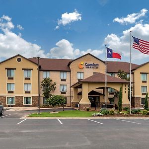 Comfort Inn & Suites Мансфилд Exterior photo