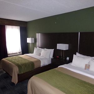 Comfort Inn Cleveland Airport Мидлберг-Хайтс Exterior photo