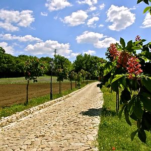 Отель La Pampa Relais & Spa Melizzano Exterior photo