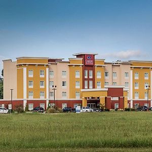 Comfort Suites Near Tanger Outlet Mall Гонзалес Exterior photo