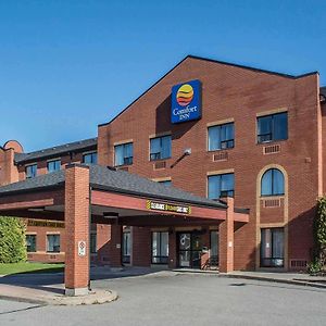 Comfort Inn Порт-Хоп Exterior photo