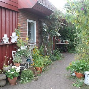 Ferienwohnung Fleur De Lys Urlaub Auf Anfrage Mit Hund Trappenkamp Exterior photo
