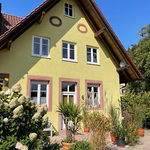 Appartement Auf Dem Gutshof Клингенмюнстер Exterior photo