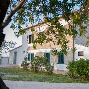 Bed and Breakfast Masseria Piana Cimino Pietra Montecorvino Exterior photo