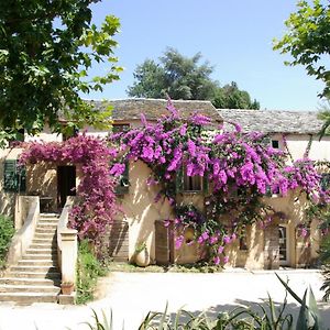 Bed and Breakfast Domaine De Valle Sorbo-Ocagnano Exterior photo