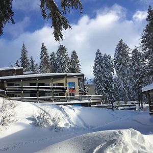 Отель Le Rocher Du Cerf Ле-Лиоран Exterior photo