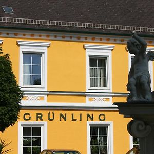 Отель Gasthof Gruenling Wallsee Exterior photo