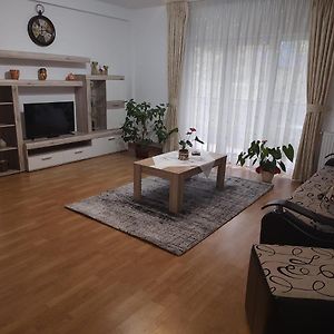 Cosy Apartment I Тыргу-Муреш Exterior photo