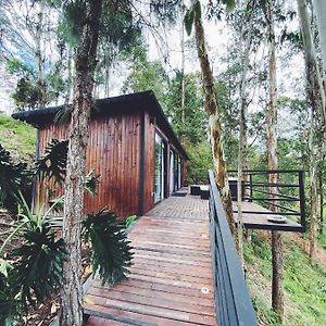 Вилла Casa Manoah - Cabin In The Woods Рионегро Exterior photo