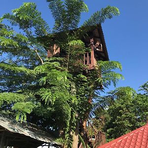 Апартаменты Mae Chan Treehouse With Swimming Pool Exterior photo