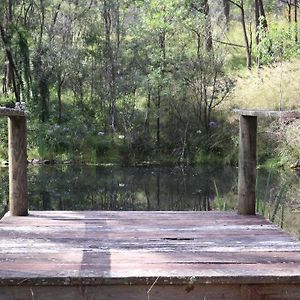 Вилла Hidden Gem, Megalong Valley, Blue Mountains Kanimbla Exterior photo