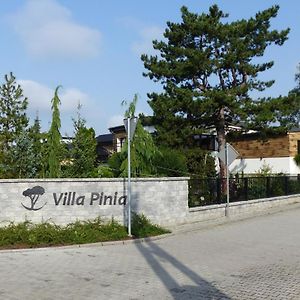 Villa Pinia Гочалковице-Здруй Exterior photo