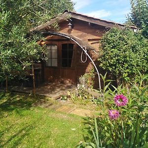 Отель Le Chalet Du Jardin Cache Марманд Exterior photo