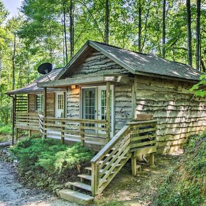 Cozy The Woodshop Cabin With Deck And Forest Views! Роббинсвилл Exterior photo