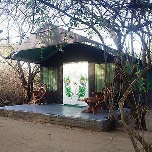 Magical Tented Lodge In Yala- Thissamaharamaya Alutgoda Exterior photo