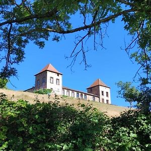 Апартаменты Chateau De Gorze Germolles-sur-Grosne Exterior photo