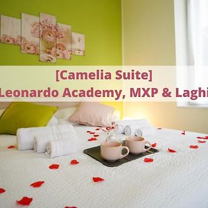 Camelia Suite Leonardo Academy, Mxp & Lakes Сесто-Календе Exterior photo