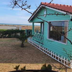 Chalet Vert Diar Maamoura El Maamoura Exterior photo