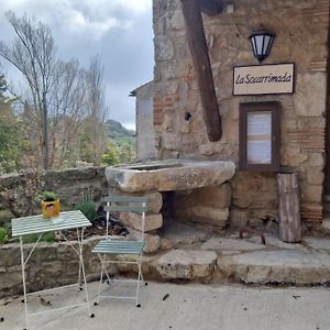 Вилла Cal Tous, La Socarrimada Rojals Exterior photo