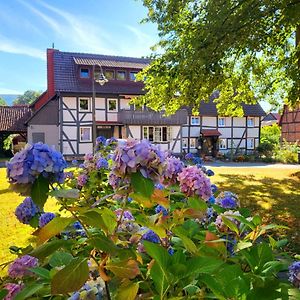 Апартаменты Gaestehaus Am Weser-Radweg Ганн. Мюнден Exterior photo