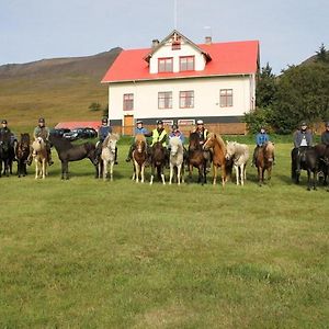 Bed and Breakfast Ferthaþjonustan Geitaskarthi Блёндюоус Exterior photo