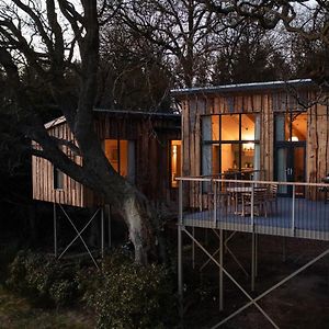 Вилла Chiffchaff Treehouse Стерлинг Exterior photo