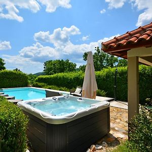 Villa Bisko With Heated Pool & Jacuzzi Триль Exterior photo