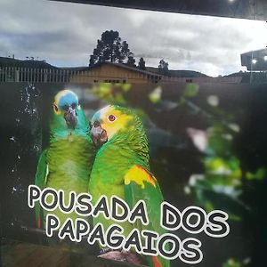 Pousada Dos Papagaios Бон-Жардин-да-Серра Exterior photo