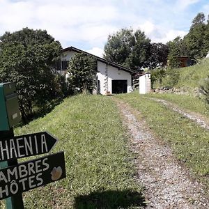 Апартаменты Maison Florenchaenia Sur Le Chemin De Compostelle Сен-Жан-Пье-де-Пор Exterior photo