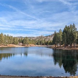 Вилла Hidden Jewel Of San Bernardino Mountains Green Valley Lake Exterior photo