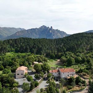 Bed and Breakfast Les Hauts De Cavanello Дзондза Exterior photo