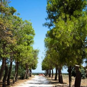 Bed and Breakfast Masseria San Paolo Саличе-Салентино Exterior photo