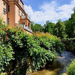 Апартаменты Arthouse Am Kurpark Бад-Шандау Exterior photo