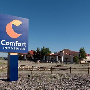Comfort Inn & Suites Аламоса Exterior photo