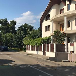 Апартаменты Casa Stefan Дробета-Турну-Северин Exterior photo